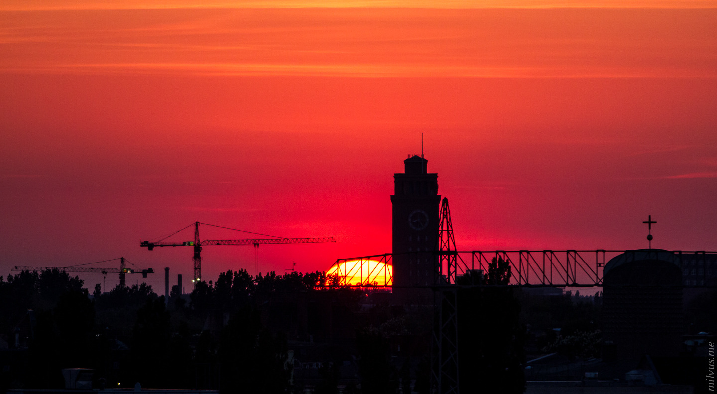 Busy Sunset