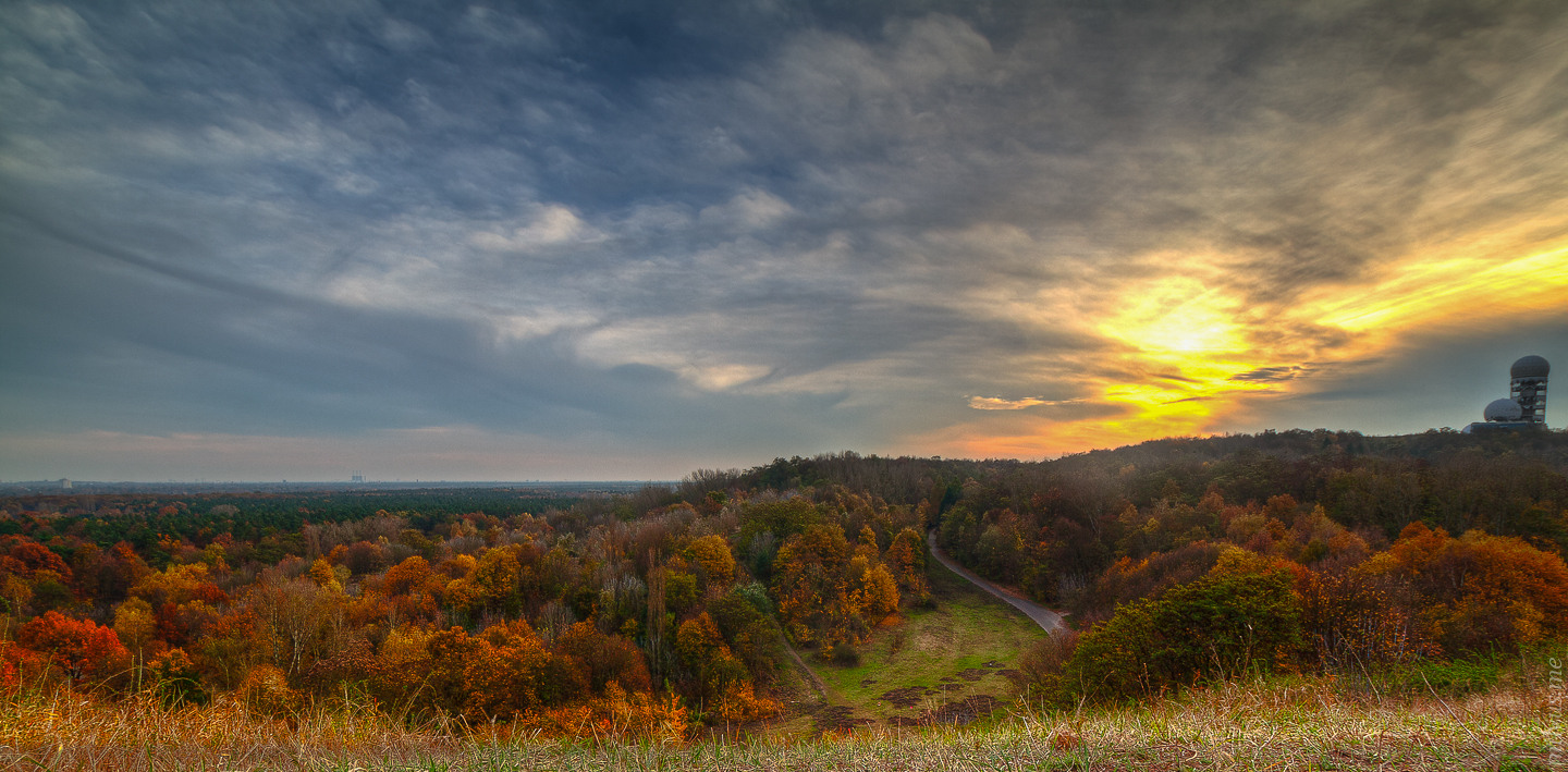 Autumn is leaving