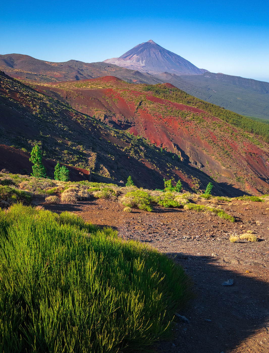 Del Teide – Tenerife