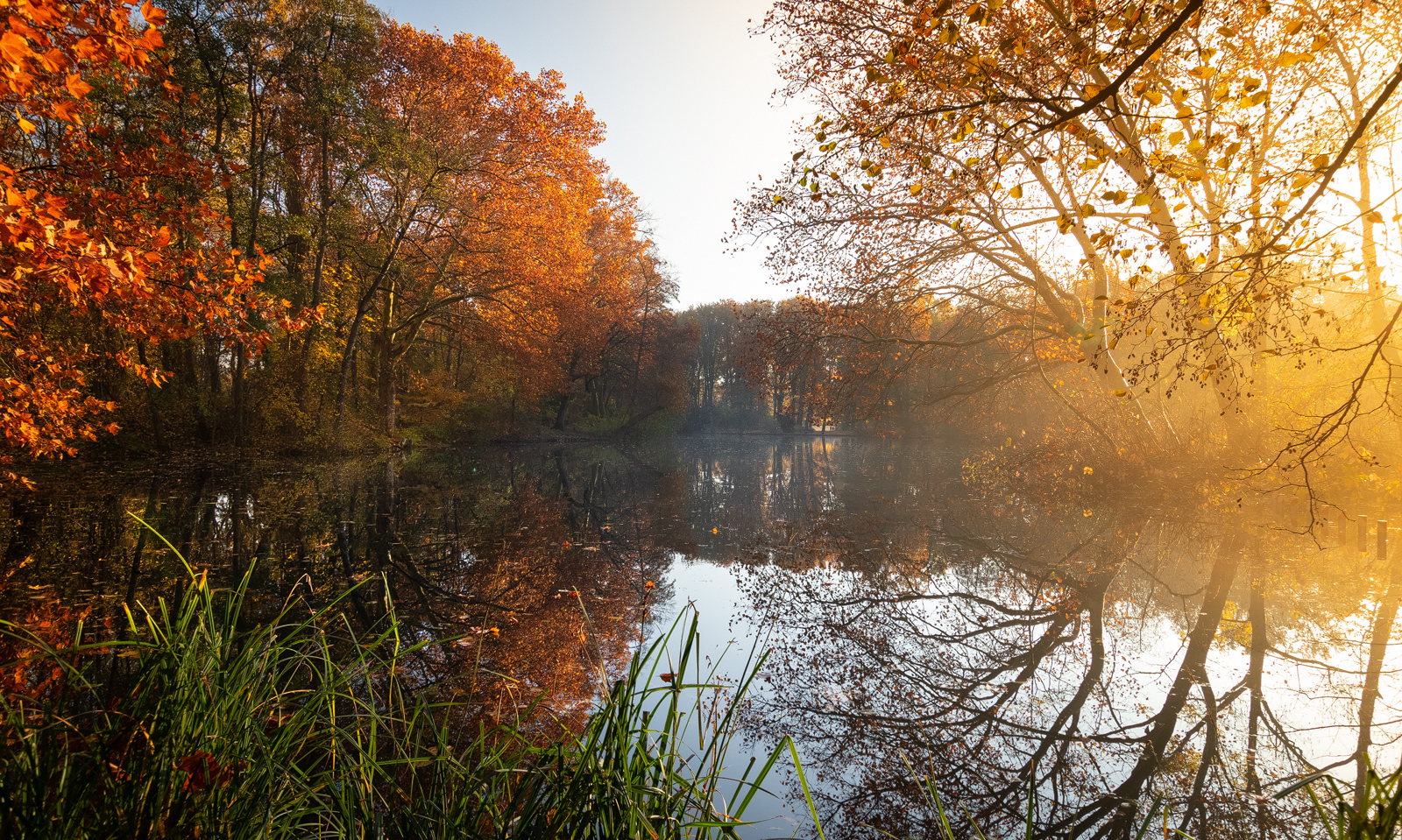 Autumn in Tiergarten